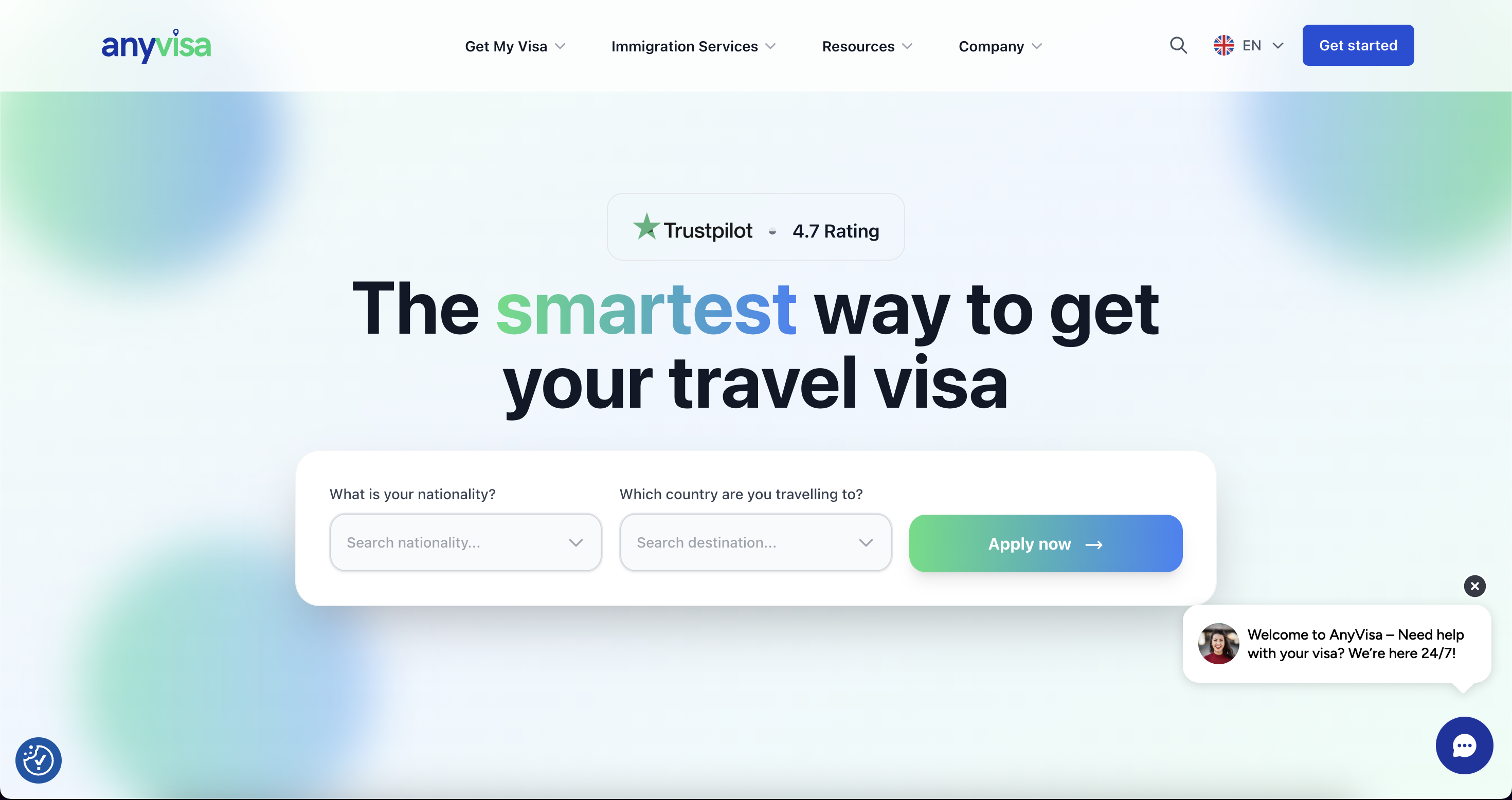 Anyvisa platform — screen 1